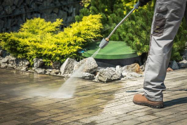 Best Spring Cleaning  in Portales, NM