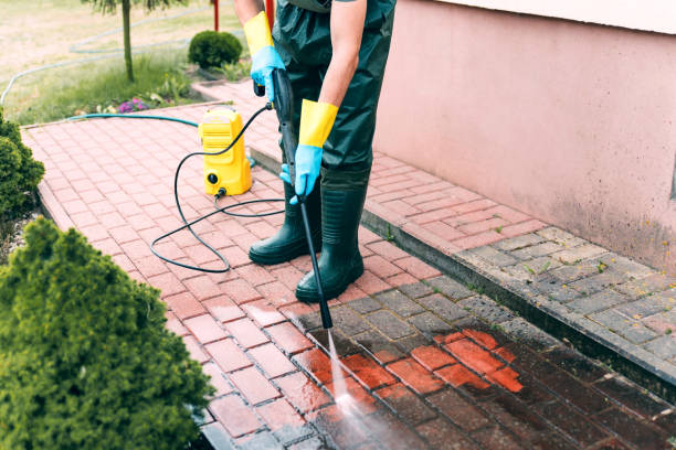 Best Fence Cleaning  in Portales, NM